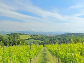 Holiday home near Urbino  Beaches - Image 2