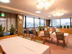 Sungreen Kikugawa - Image 5