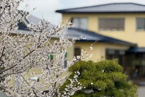 Guest Houseつがるのへっちょ - Image 5