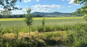 FeWo Mona - Image 5