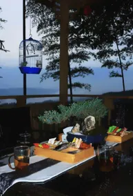Shunan Bamboo Sea Bamboo Forest Courtyard · Home of Hainan Nan - Image 4