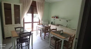 Al Corso - Image 3