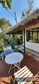 Noah's Nest Tree House - Image 5