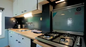 de Berkelstee - Image 5