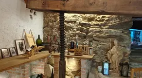 Marillenhotel - Wachauer Marille & Wein - Image 3