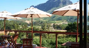 Alluvia Boutique Winery & Luxury Accommodation - Image 4