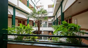 Hotel Universal - Image 4