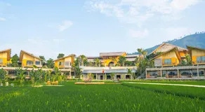 Diều Sóc Sơn - Image 4