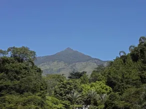Kaliandra Sejati Eco Resort - Image 4