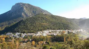 Casa La Rosa P.N. Sierra de Grazalema - Image 4