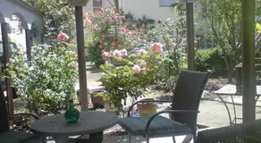 Stadtoase Koblenz - Image 3