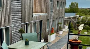 Etoile du Kap - Image 3