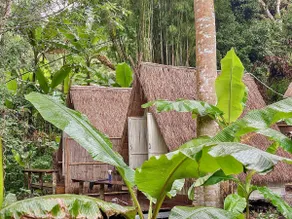 Scent of Forest | Riverside Bamboo Cabin - Image 3