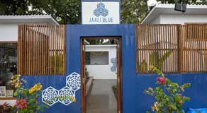 Jaali Blue - Image 5