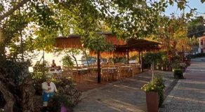 Epavli Sofia' s two Apartments in Horto, 30m from the sea - Image 5