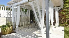 Nola - Image 4
