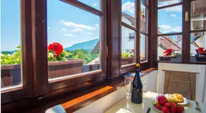 Vila Radolca apartments and rooms - Image 3