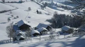 Ferienwohnung, Ferienhof Wald - Image 5