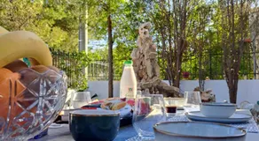 Four seasons apartment - Image 5