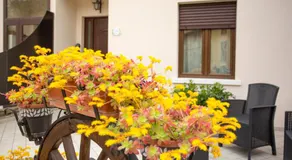 Al Borgo Rooms - Image 3