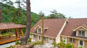 Wonju Sarichi Land in Forest Pension - Image 3