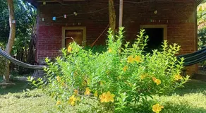 Rosa's Lake Cabins - Image 3