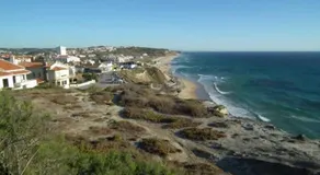 Campo de Oleandros - Image 5