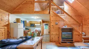 Cabine-Salle de bain privée-Standard-Pinecrest Cabin - Image 2