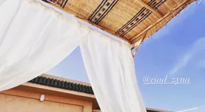 Riad Zyna - Image 3
