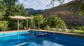 El Molino - Image 2