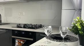Anastasia Dragonul Roșu Spitalul Fundeni - Image 5