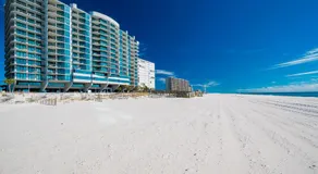 Phoenix IX - Image 5