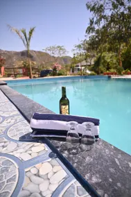 JHAR ARRAVLI RESORT  - Image 5
