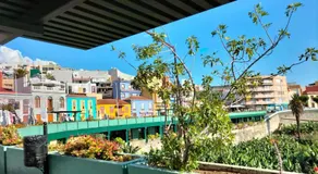 paraiso soleado - Image 5