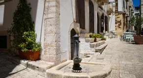 HOME 5 - Arco Antico - Image 4
