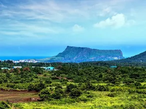 Jeju Won Resort - Image 4