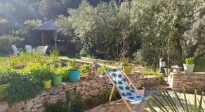 le frangipanier - Image 3