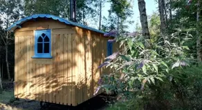 Sapphire forest garden shepherd’s hut - Image 5