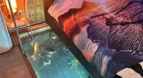 l'aquarium - Image 2