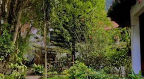 Le Petit Jardin - Image 5