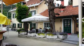 Guesthouse Avsenik - Image 4