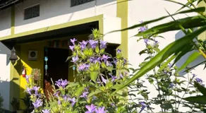 Stargaze Backpackers Hostel - Image 5