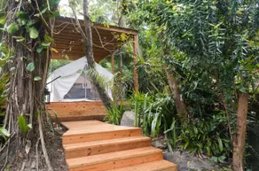 Casa Parcha - Image 4