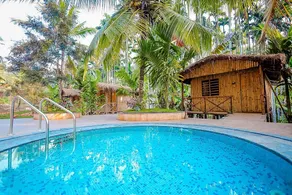 Woodpecker Exotic Retreat & Spa - Image 3