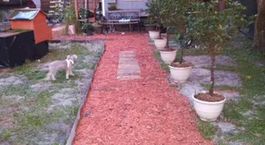Tiny home barn style in backyard with Animals - Image 4