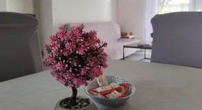 Apartman Olic - Image 2