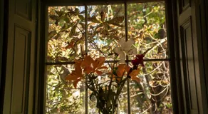 The Historical Harcourt Suites - Image 4