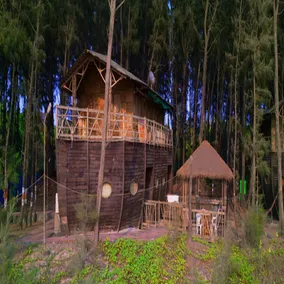 MTDC Tarkarli - Image 4