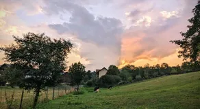 Casuta din Gradina - Image 5