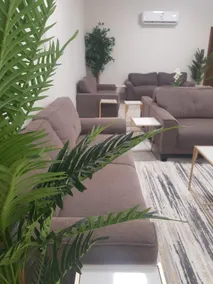 مورايا Murraya - Image 5